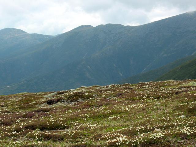 Monroe, Franklin from Eisenhower.JPG